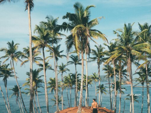 Plantillas y flujo de trabajo en Notion para opositores de FP