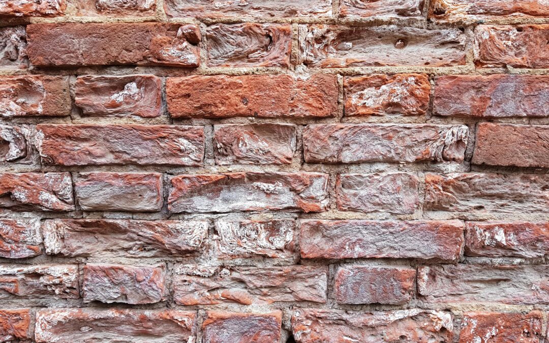 Mi camino hacia la docencia: de la empresa al aula